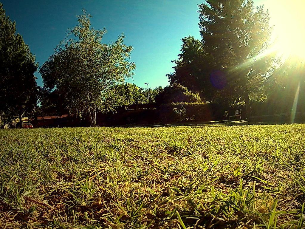 La Francigena Staggia Exterior foto